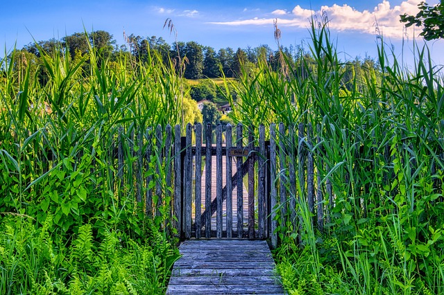 starý plot