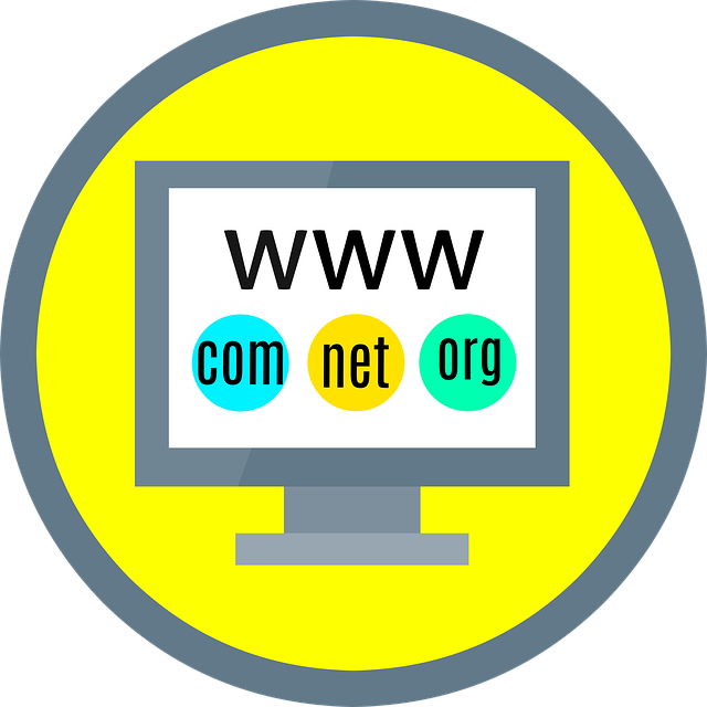 kreslená obrazovka počítače na žlutém pozadí s nápisem www a doménami